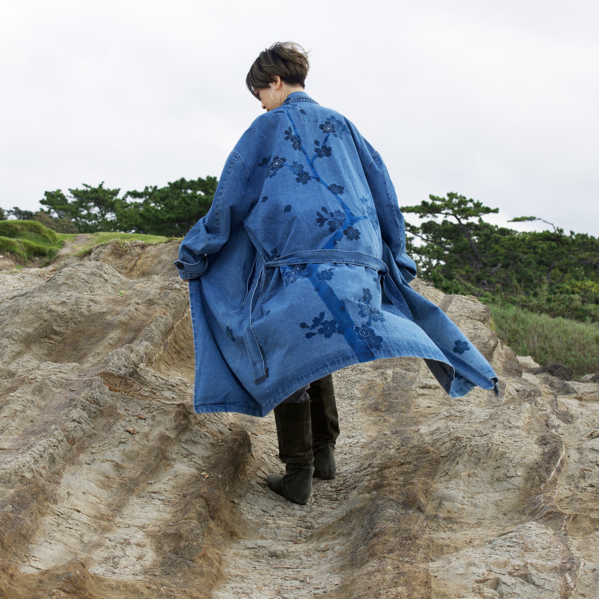 オーズプランツ　青典牡丹　カキコ オーズプランツ 青典牡丹 カキコ 観葉植物